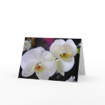 Simply orchids cards