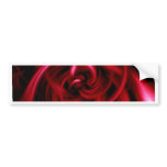 Sinews bumper stickers