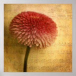 Sinfonia posters