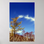 Sing to the Joy/ Poster