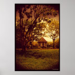 Singapore Botanical Garden posters
