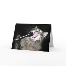 Singing cat cards