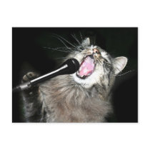 Singing cat postcard