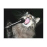 Singing cat postcard