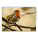 Singing Robin cards