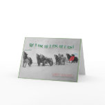 Singing Sled Dogs: SItka Alaska Malamute Choir cards