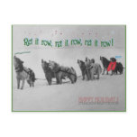 Singing Sled Dogs: SItka Alaska Malamute Choir postcards