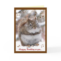 Singing Squirrel Birthday Greeting Cards