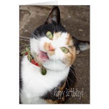 singing tabby, Happy Birthday! Greeting Cards