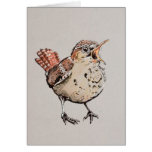 Singing Wren Illustration