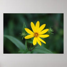 Single and Beautiful Print