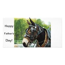 single black mule personalized photo card