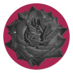 Single Black Rose stickers