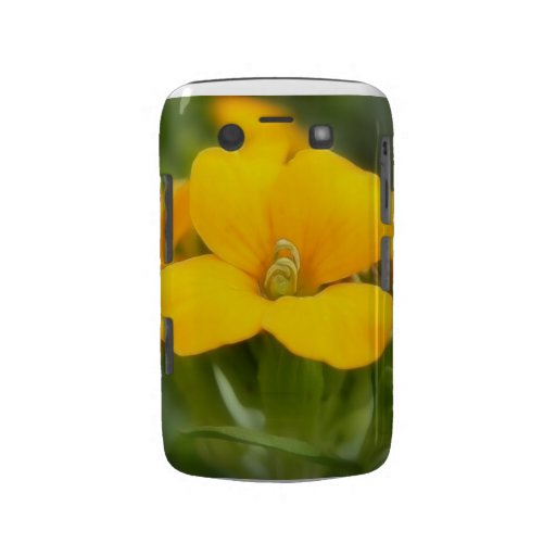 Single Bloom - Wallflower Case-Mate Blackberry Case