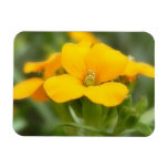 Single Bloom - Wallflower Flexible Magnets