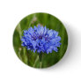 Single Blue Cornflower in green English Meadow