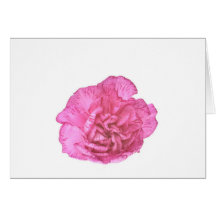 single carnation flower greeting card