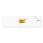 Single Coloured Northern Red Oak Leaf On White Bac bumper stickers