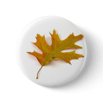 Single Coloured Northern Red Oak Leaf On White Bac Button