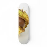 Single Conker On White Background skateboards