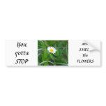 Single daisy bumper stickers