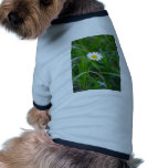 Single daisy pet clothing