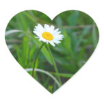 Single daisy stickers