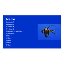 single-fish-in-aquarium business card