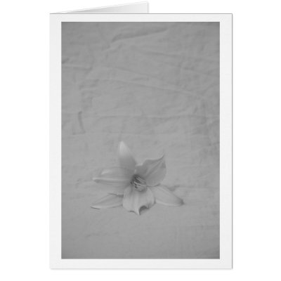 Single Flower Card by mwang452