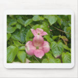 Single flower mousepads