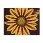 Single Flower postcards