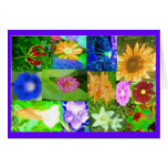 Single Flower Surprise from MaMaw's Garden cards