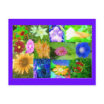 Single Flower Surprise from MaMaw's Garden postcards