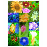 Single Flower Surprise from MaMaw's Garden t-shirts