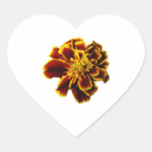 Single French Marigold Heart Sticker