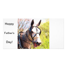 Single grey mule photo card