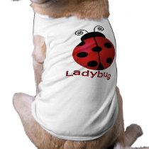 Single Ladybug