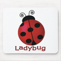 Single Ladybug