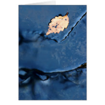 Single Leaf in Smooth Water Card