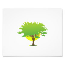 Single oak tree sun behind graphic photo art