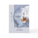 single Orchid Blossom cards