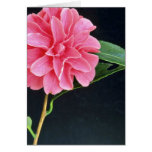 Single Pink Flower flowers Greeting Card