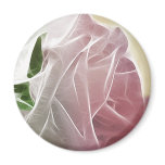 Single Pink Rose Basics