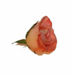 Single pink rose bloom side view cutout picture photo sculptures
