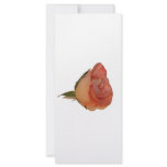 Single pink rose bloom side view cutout picture rack cards