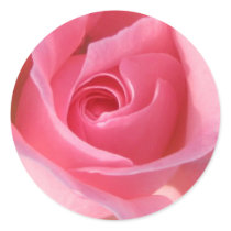 Single Pink Rose Round Sticker