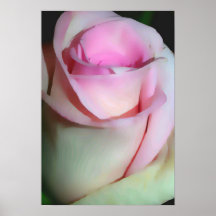 Single Pink Rosebud Photo Art Print