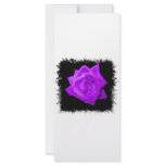 Single purple lilac rose against black jagged rack cards