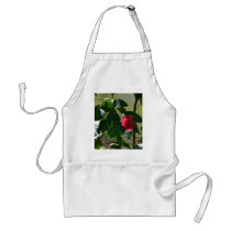 Single Red Flower Apron