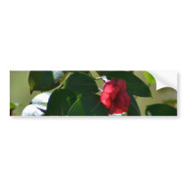 Single Red Flower Bumper Stickers